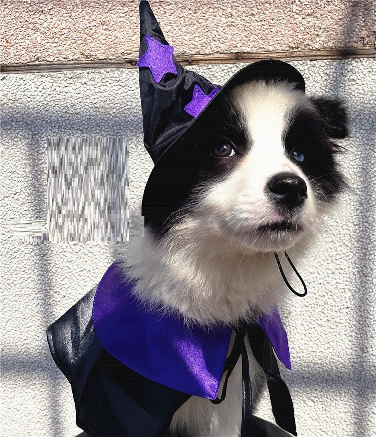 Pet Halloween Wizard Decoration Set