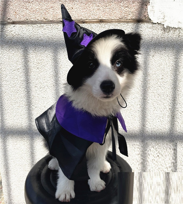 Pet Halloween Wizard Decoration Set