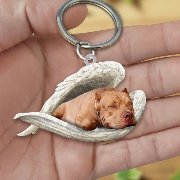 Angel 🪽 wings covering are sleeping bestie fur buddies memories Keychain
