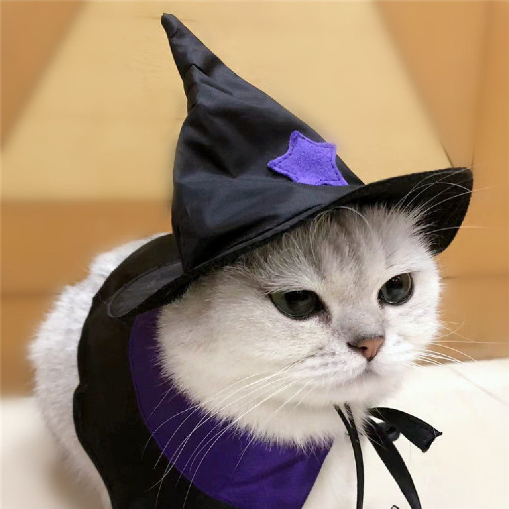 Pet Halloween Wizard Decoration Set