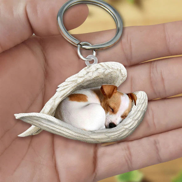 Angel 🪽 wings covering are sleeping bestie fur buddies memories Keychain