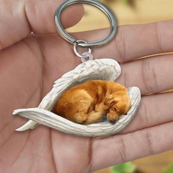 Angel 🪽 wings covering are sleeping bestie fur buddies memories Keychain