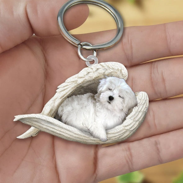 Angel 🪽 wings covering are sleeping bestie fur buddies memories Keychain