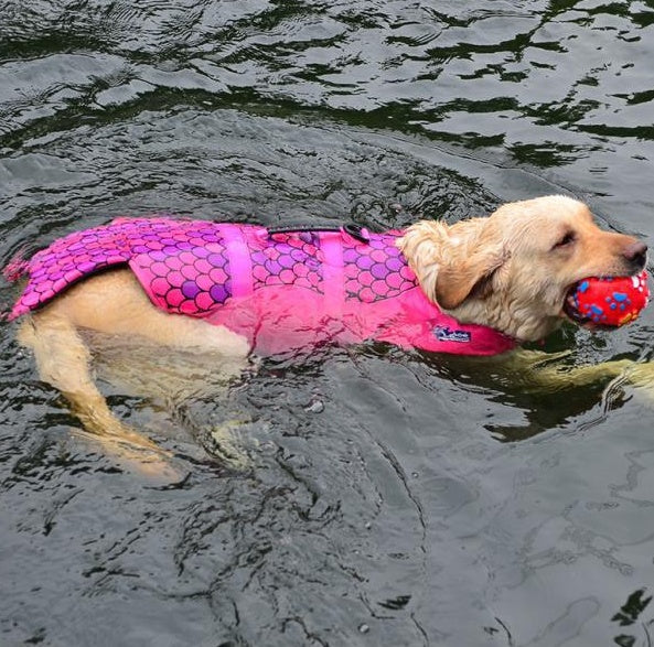 Outdoor Life Jackets for your fur babies