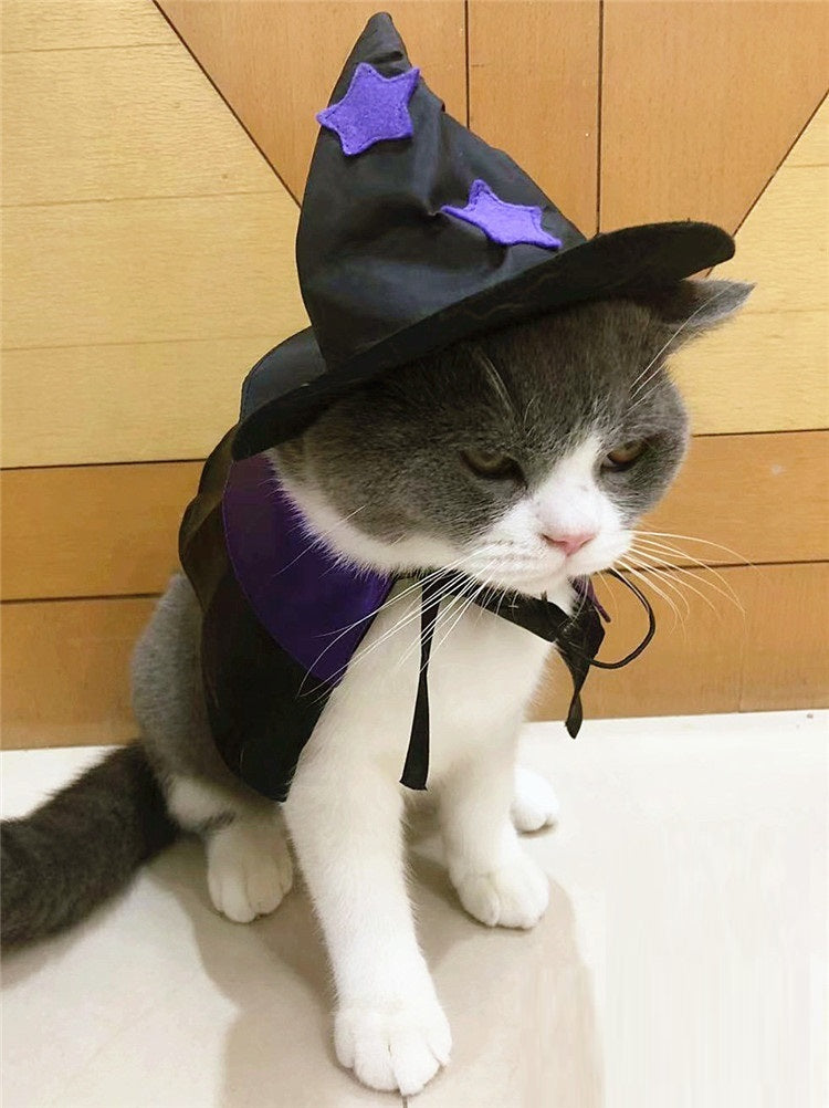 Pet Halloween Wizard Decoration Set
