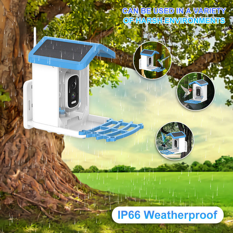 Smart Bird Feeding Recognition Solar HD Feeder