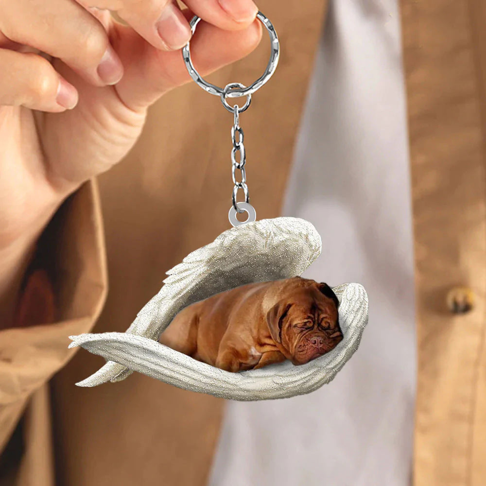 Angel 🪽 wings covering are sleeping bestie fur buddies memories Keychain