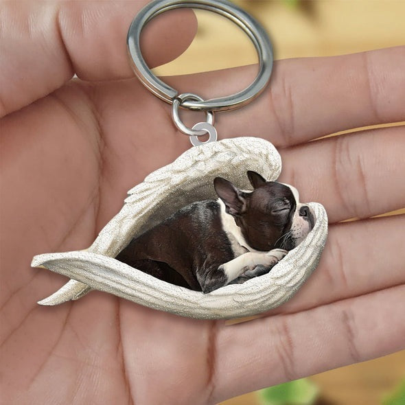 Angel 🪽 wings covering are sleeping bestie fur buddies memories Keychain