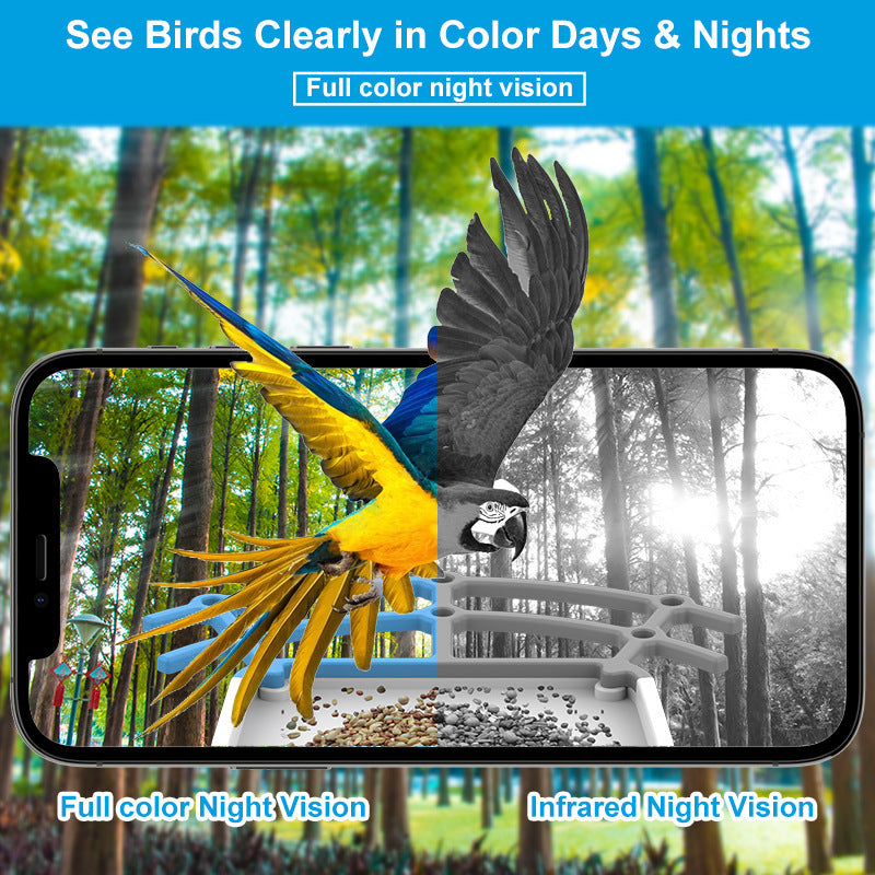 Smart Bird Feeding Recognition Solar HD Feeder