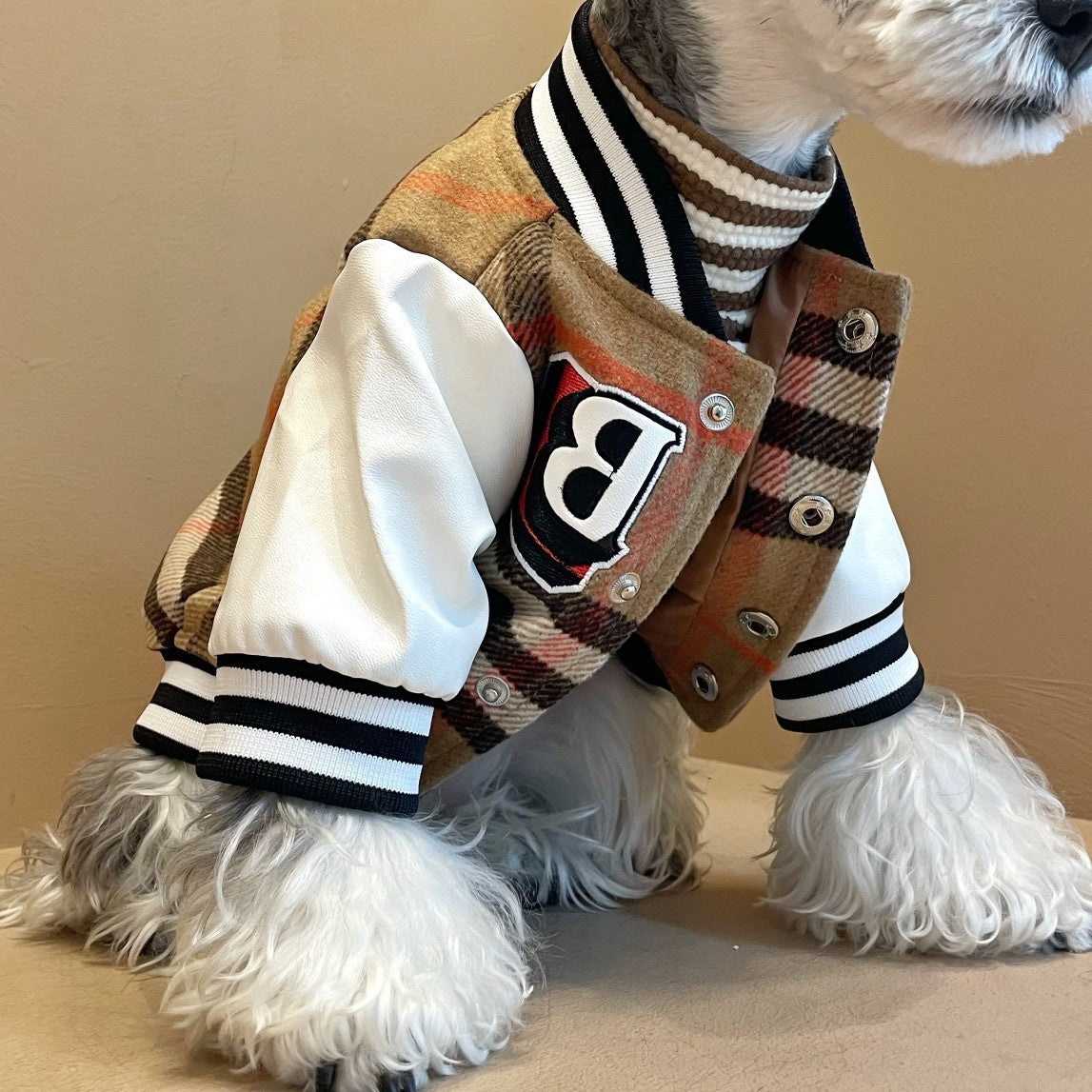Insulated Pet Vest for Schnauzers, Bichons, Teddies, and Shiba