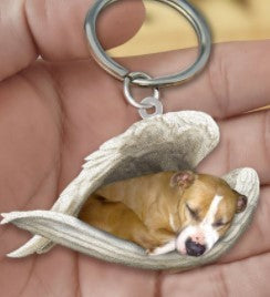 Angel 🪽 wings covering are sleeping bestie fur buddies memories Keychain