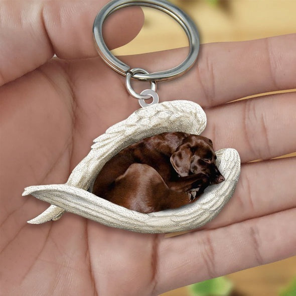 Angel 🪽 wings covering are sleeping bestie fur buddies memories Keychain