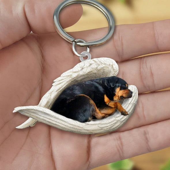Angel 🪽 wings covering are sleeping bestie fur buddies memories Keychain