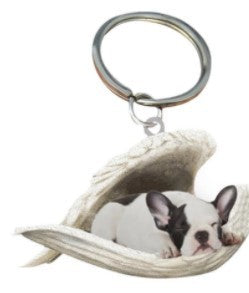Angel 🪽 wings covering are sleeping bestie fur buddies memories Keychain