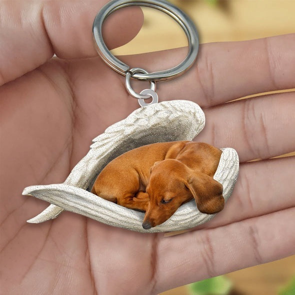 Angel 🪽 wings covering are sleeping bestie fur buddies memories Keychain