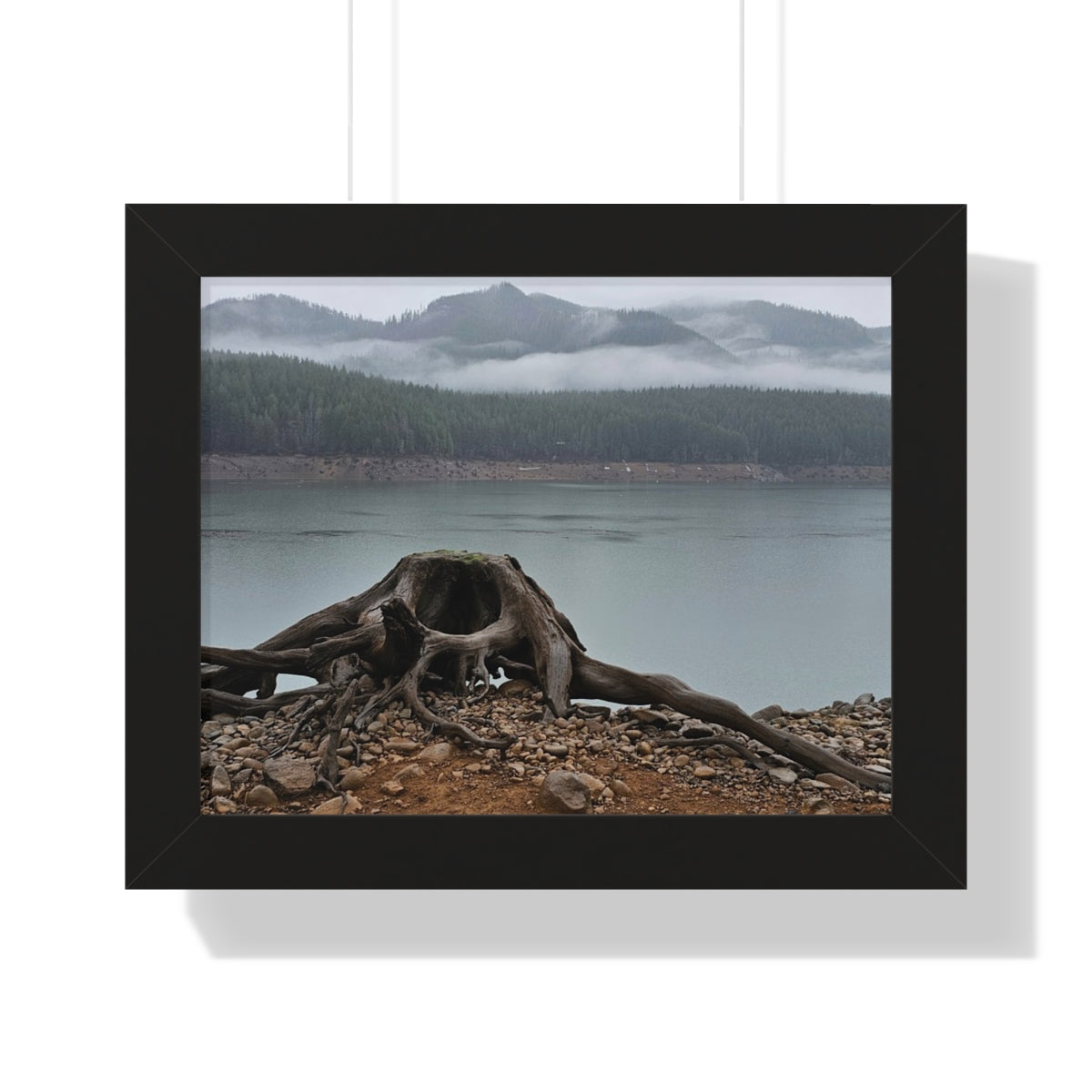 Beautiful landscape poster featuring a misty mountain lake and tree roots in a serene setting