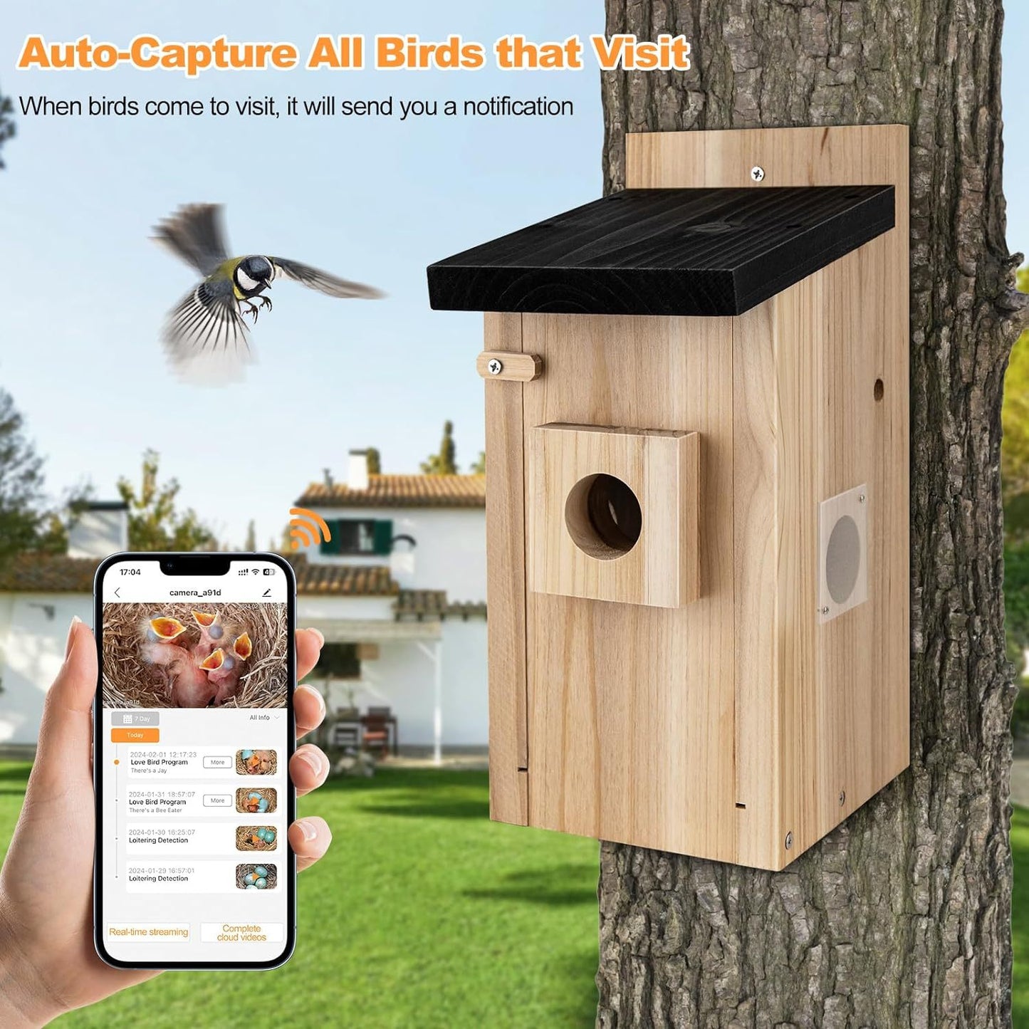 Sheila Merchandise bird watching smart house mounted on a tree trunk with a smartphone app for notifications