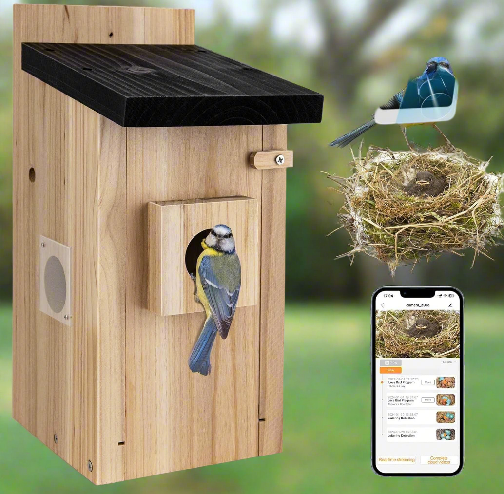 Bird watching smart house made from wood with a bird perched on the entrance hole and a smartphone app interface