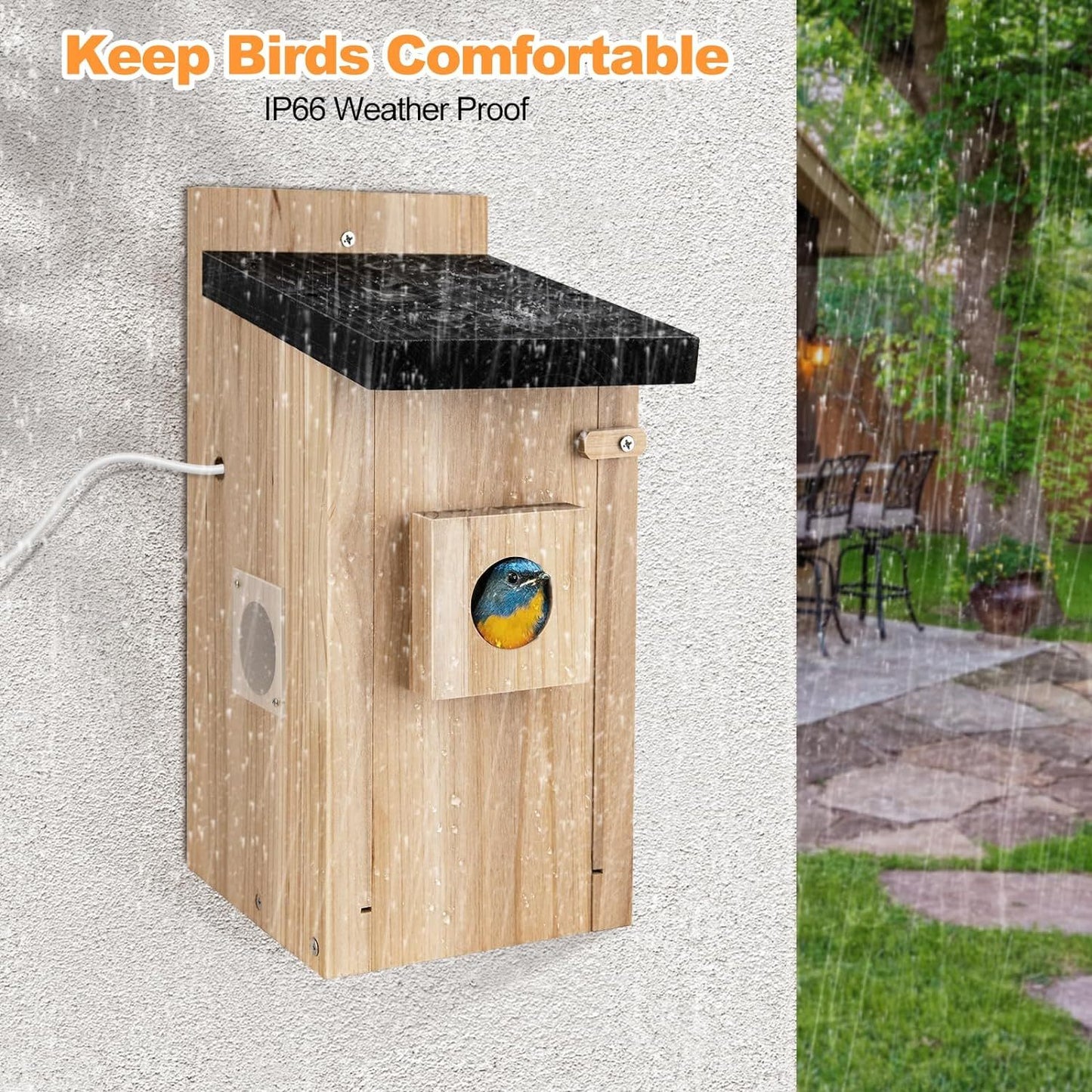 Weatherproof bird watching smart house with a natural wooden finish for attracting birds