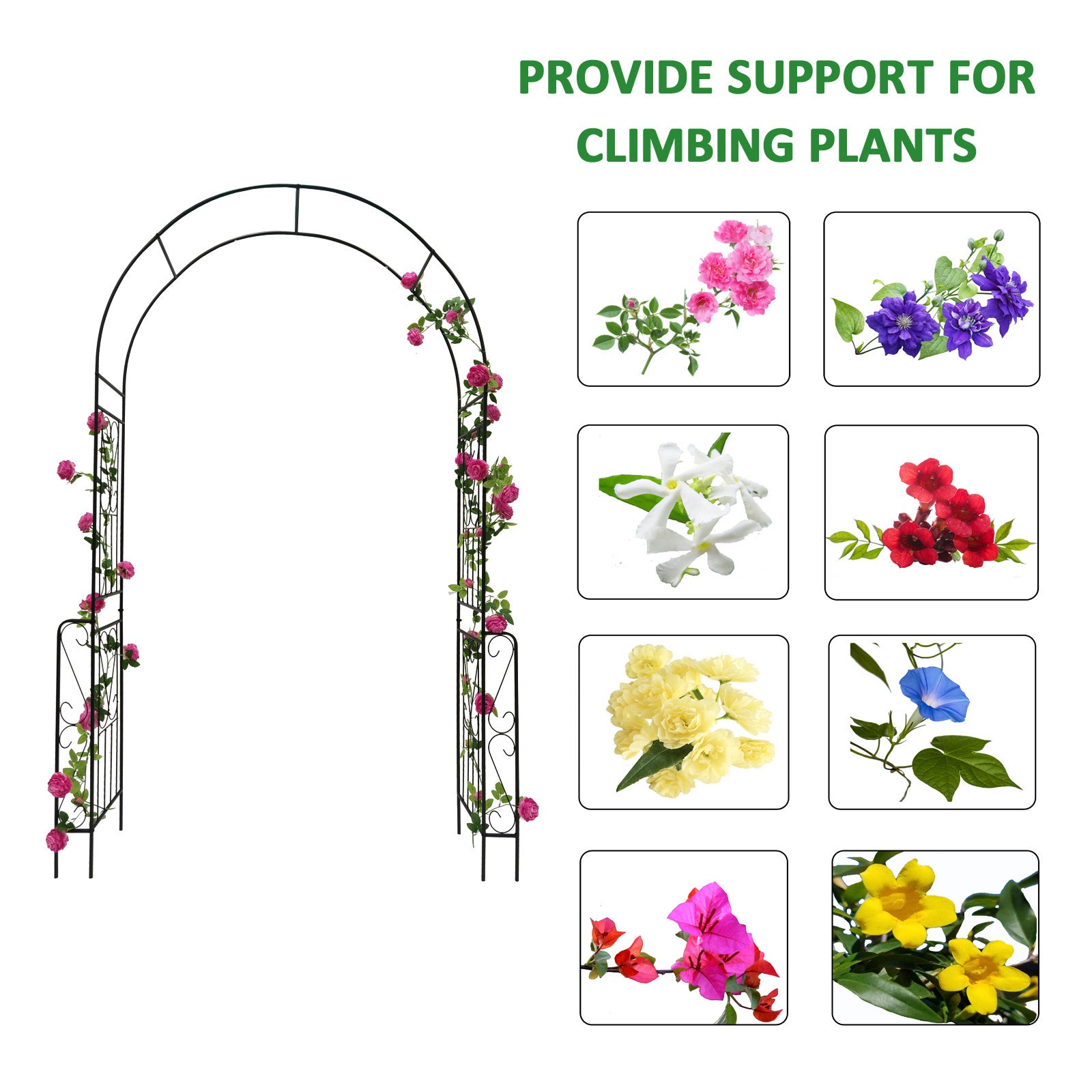Sheila Merchandise decorative garden arch for climbing plants with vibrant flowers and sturdy design