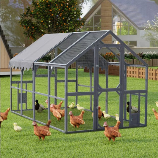 Spacious and durable chicken enclosure for secure and comfortable chicken keeping in the backyard