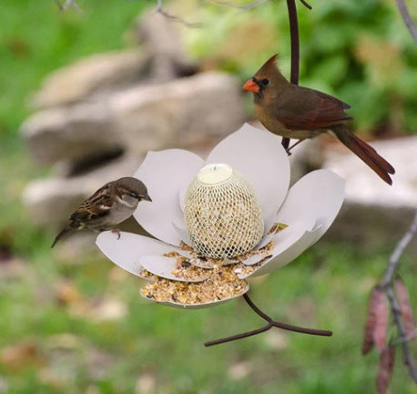 Petal shaped bird feeder with two birds perched, surrounded by greenery and rocks