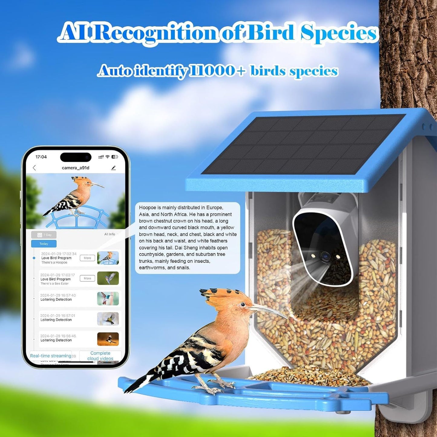 Smart solar bird feeder with AI recognition for identifying over 1000 bird species and a solar-panel design