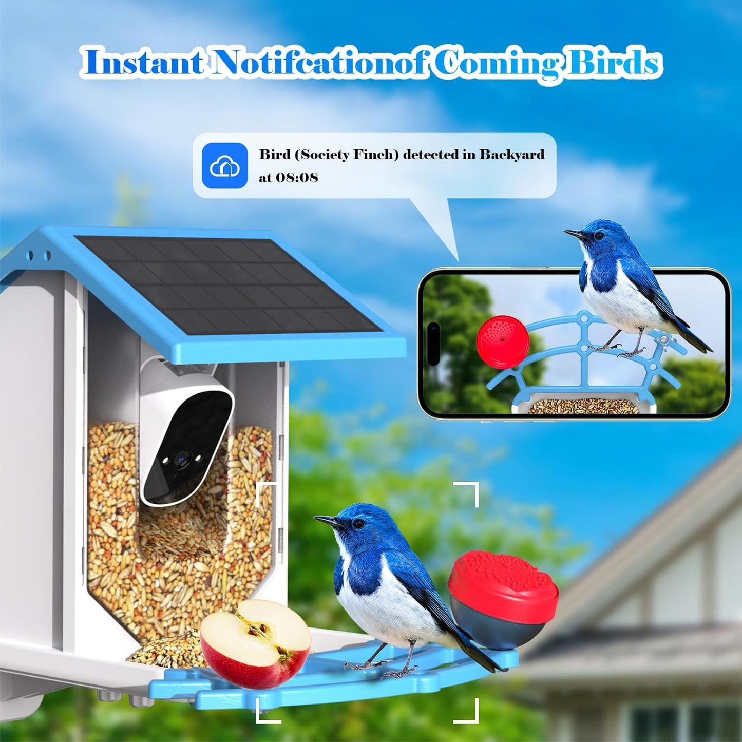 Smart solar bird feeder with notification system, designed for birdwatching enthusiasts