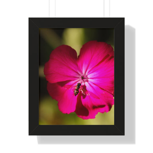 Vibrant floral poster featuring a close-up of a bright pink flower with intricate details