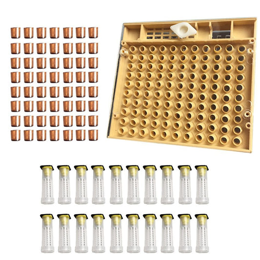 Queen bee breeding system cultivation box