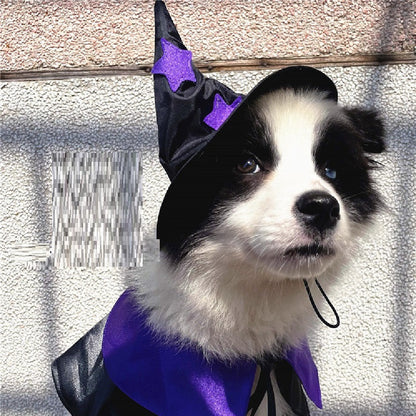 Pet Halloween Wizard  Decoration Set