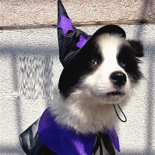 Pet Halloween Wizard  Decoration Set