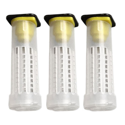 Queen bee breeding system cultivation box