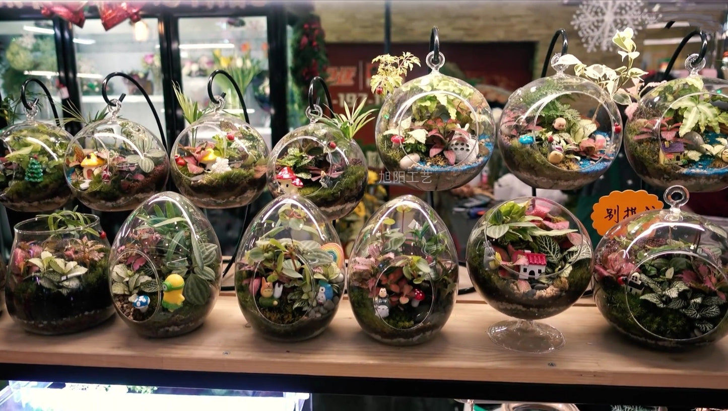 Hanging Glass Planter