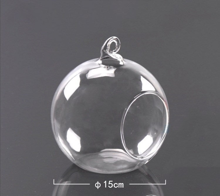 Hanging Glass Planter