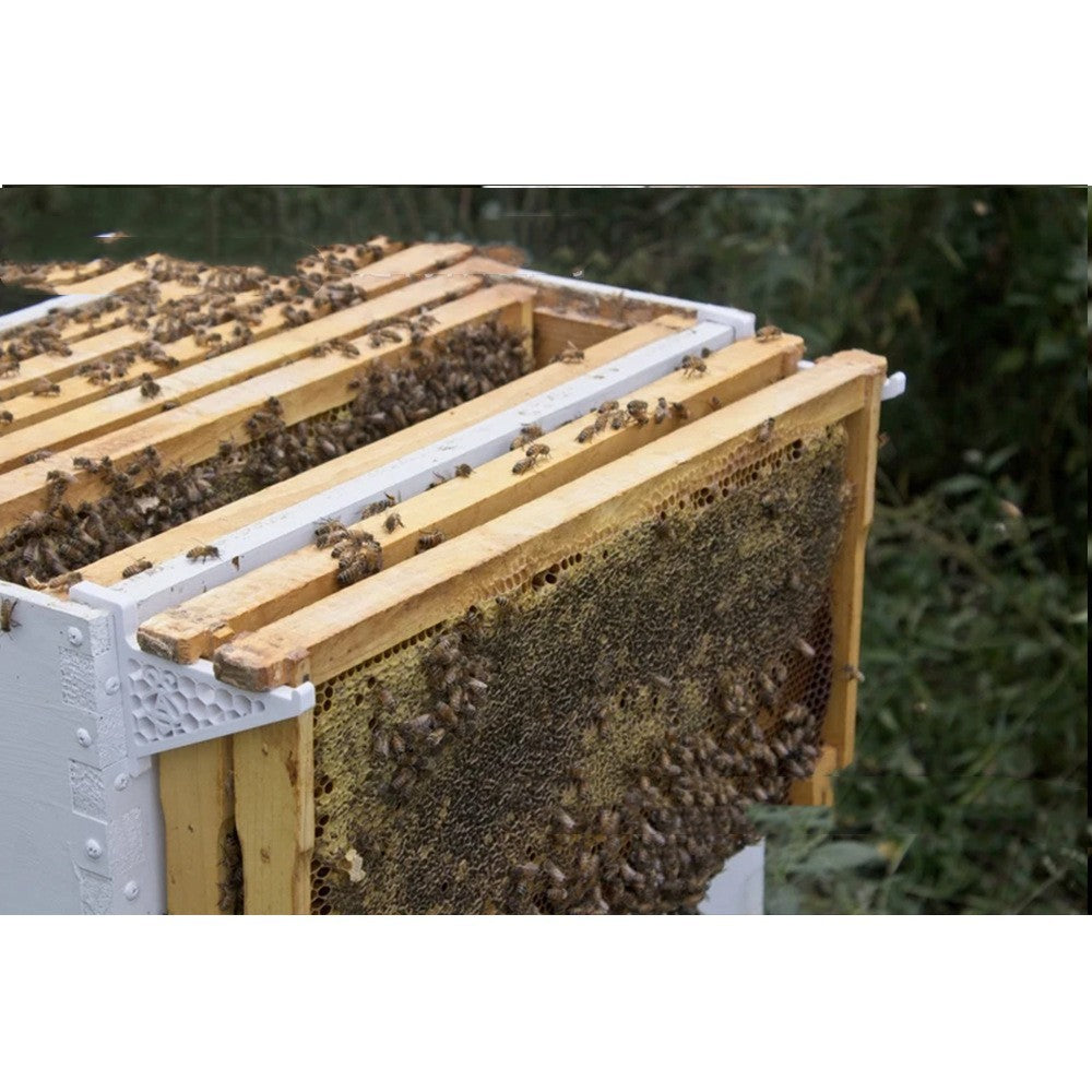 Plastic Bee Box Support Frame