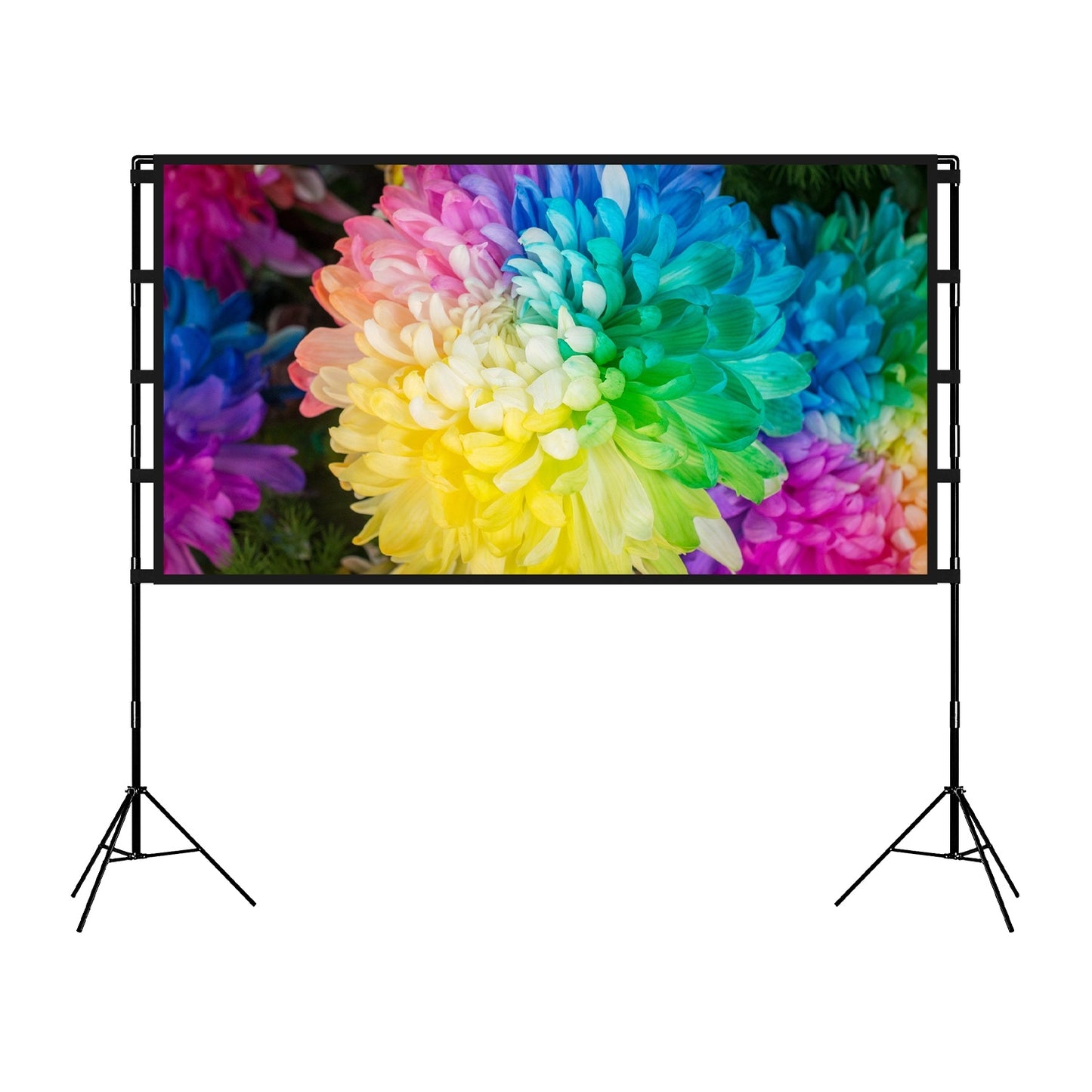 Projector Screen With Stand