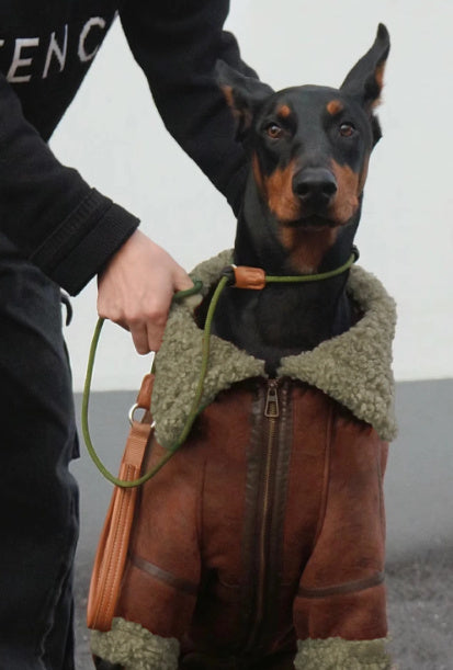 Winter Plus Velvet Pet Lapel Leather Coat For Big Dogs