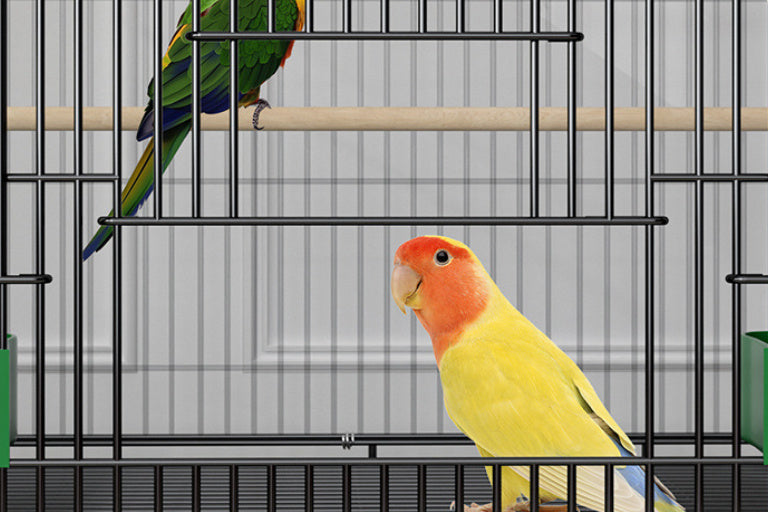 Home Fashion Double-Layer Bird Cage – Stylish & Spacious Design for Your Feathered Friends