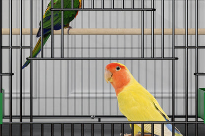 Home Fashion Double-Layer Bird Cage – Stylish & Spacious Design for Your Feathered Friends