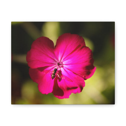 Vibrant bee canvas wall art featuring a pink flower with a bee, perfect for home decor