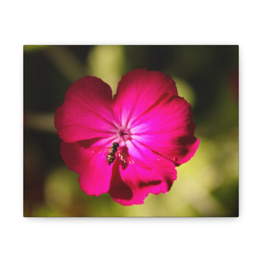 Vibrant bee canvas wall art featuring a pink flower with a bee, perfect for home decor