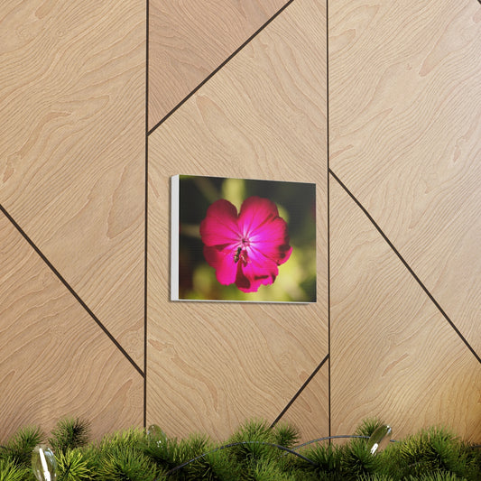 Vibrant bee canvas wall art featuring a purple flower on a wooden wall