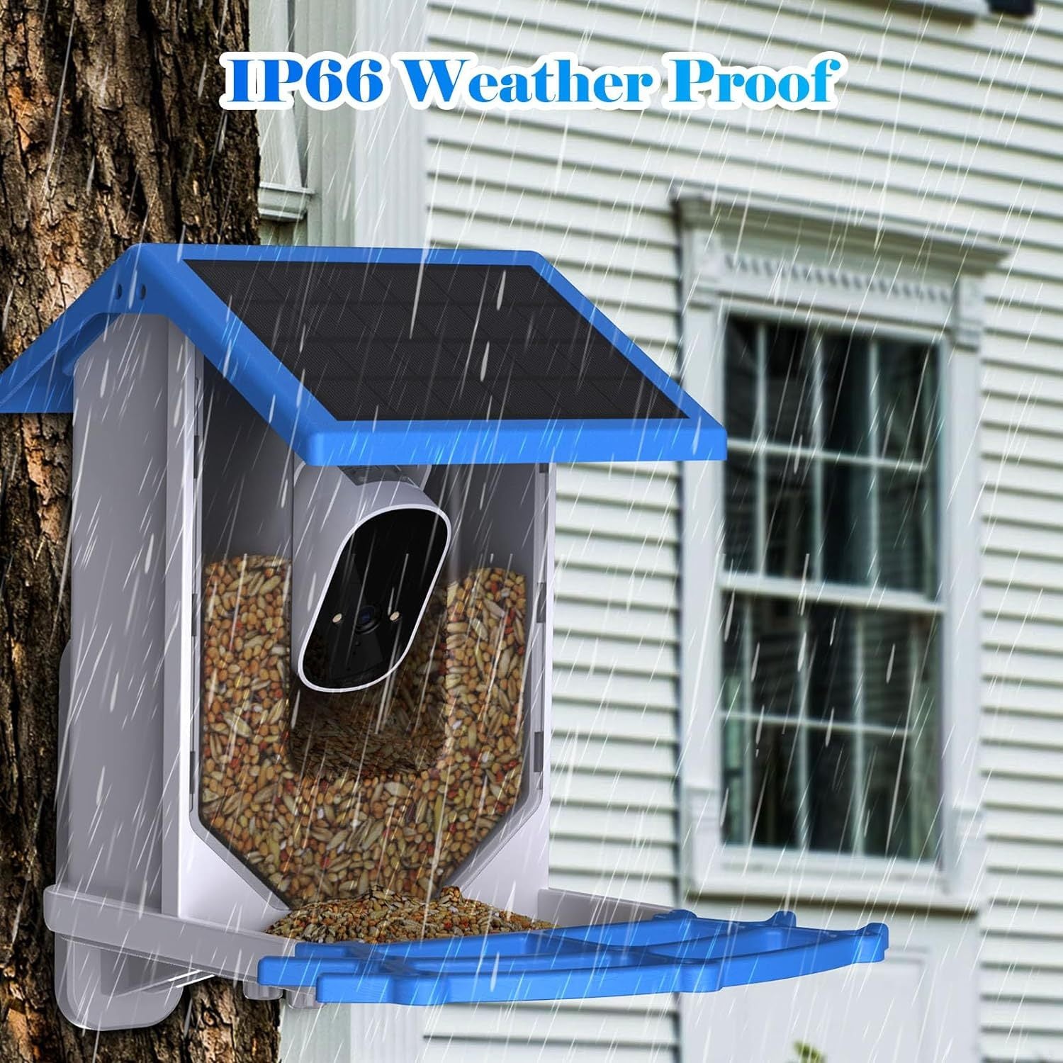 IP66 weather proof bird feeder featuring a bird watching camera with AI recognition for enhanced viewing