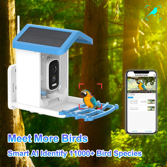 Smart  Bird Feeding Recognition Solar HD Feeder