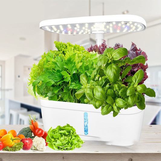Sheila Merchandise indoor planter with grow your own vegetables LED light and fresh herbs growing