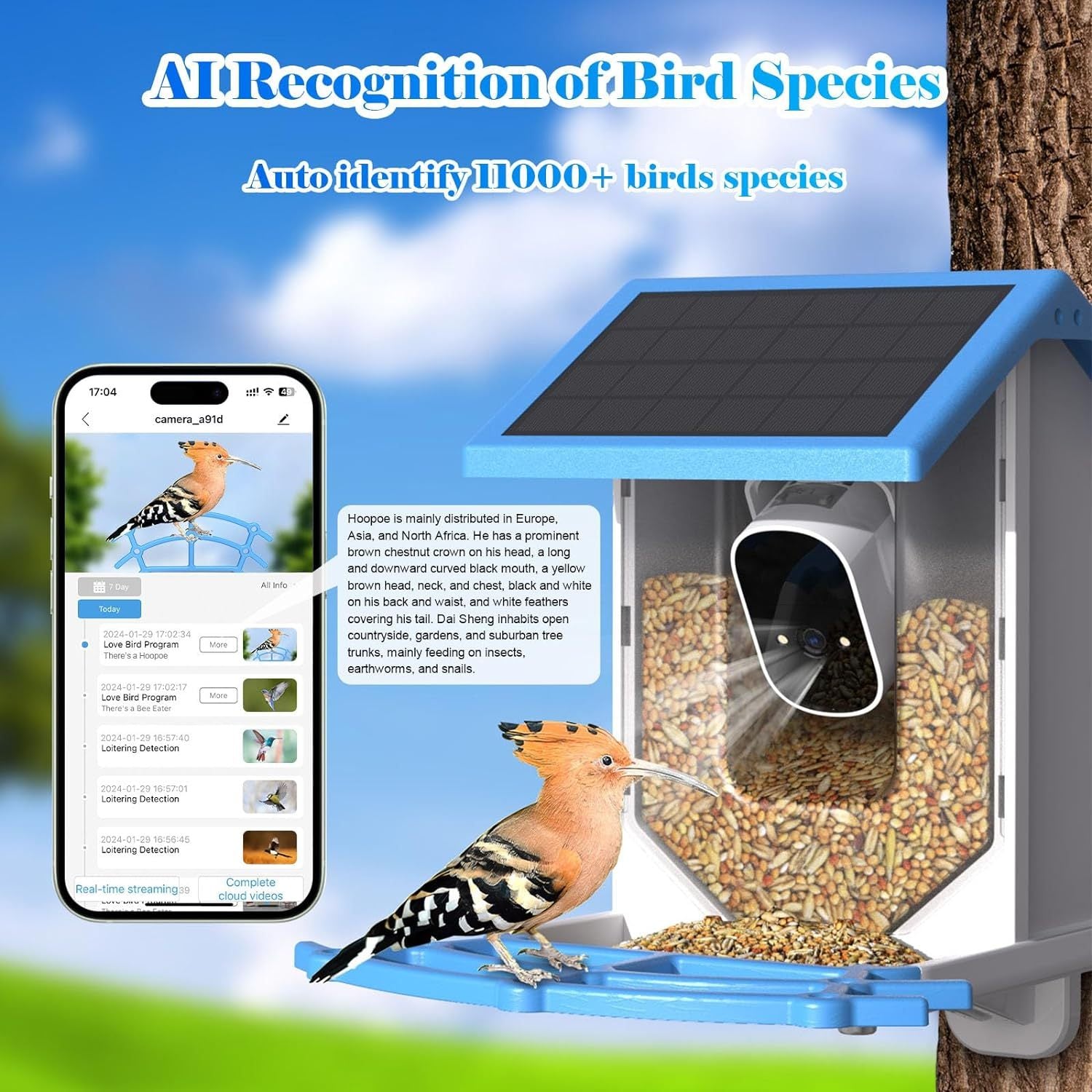 Smart solar bird feeder with AI recognition for identifying over 1000 bird species and a solar-panel design